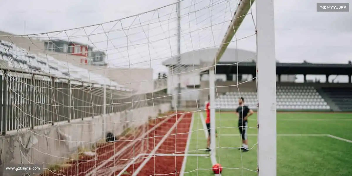 行业领先的理由