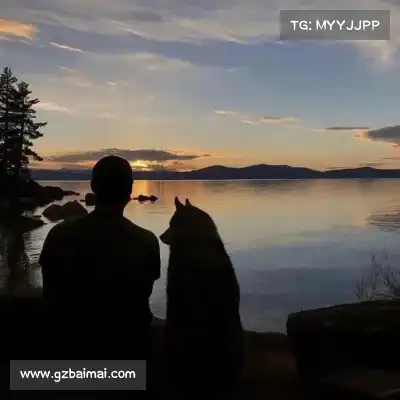苗锦珺